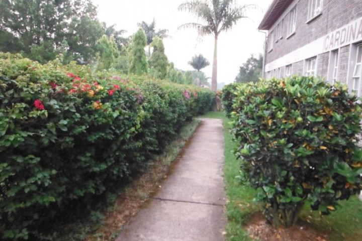 DSCF1387