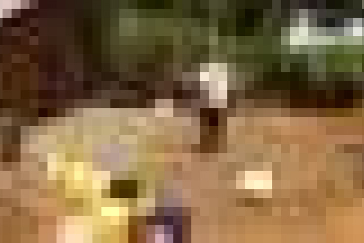 b2ap3_icon_IMG_2334