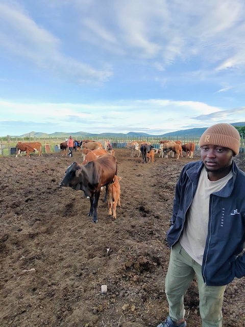 od photo 7498 singular display fullPicture