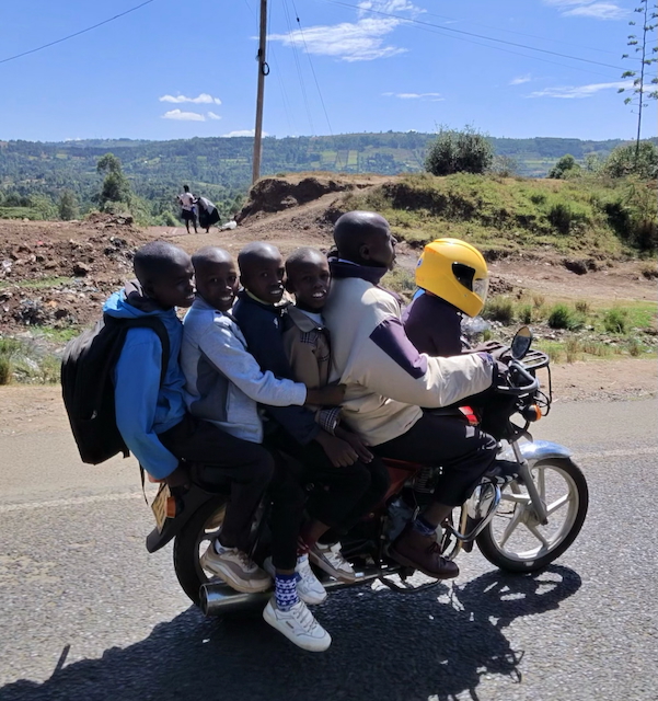 photo 5758 singular display fullPicture